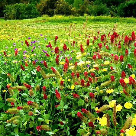 게스트하우스 Areias Do Douro 4*