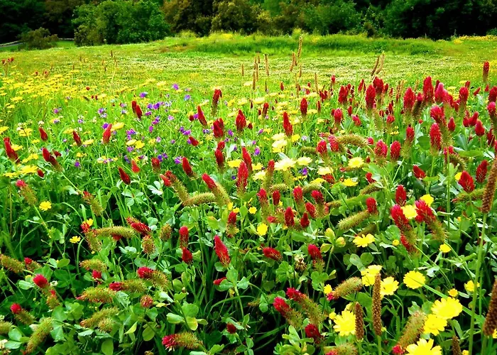 게스트하우스 Areias Do Douro 4*